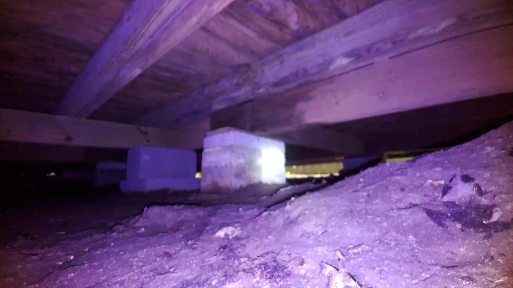 Rover photo showing plumbing and utility lines under a raised home